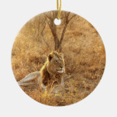 Décoration En Céramique Lion (Devant)