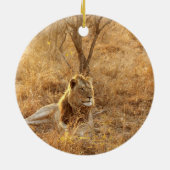 Décoration En Céramique Lion (Dos)