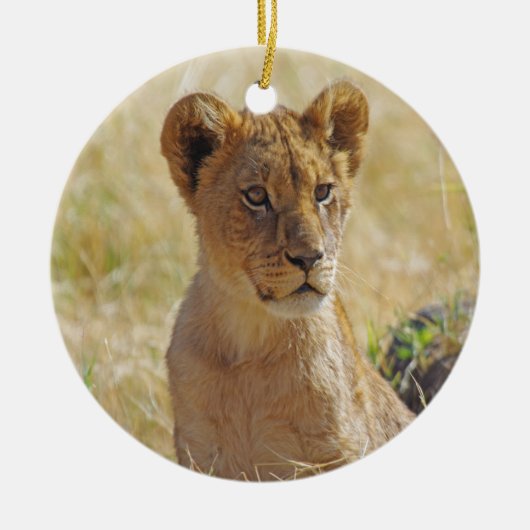 Décoration En Céramique Lion Cub (Devant)
