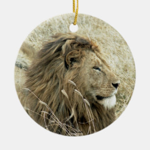 Décoration En Céramique Lion mâle