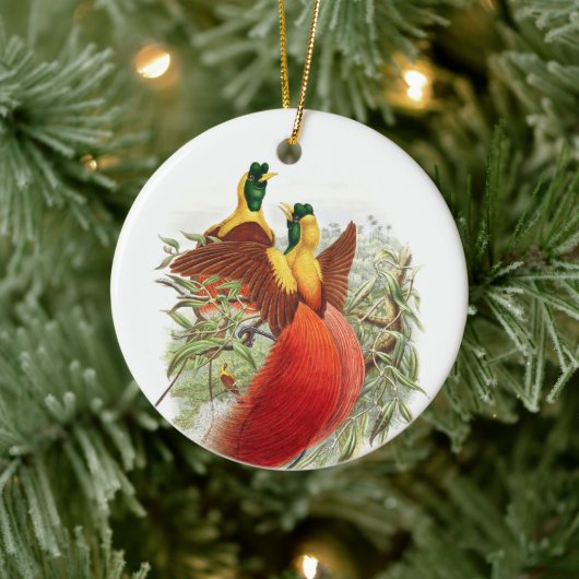 Décoration En Céramique Loddigesia Mirabilis (Arbre)