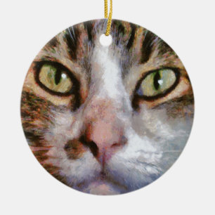 Décoration En Céramique Long Haied Tabby Chat Fermer Portrait