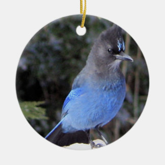 Décoration En Céramique L'ornement de Steller's Jay