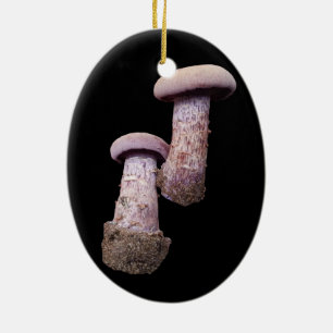 Décoration En Céramique L'ornement des amoureux des champignons