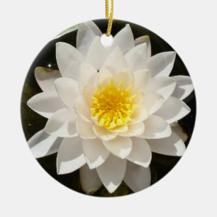 Décoration En Céramique Lotus Nénuphar Blanc Flottant