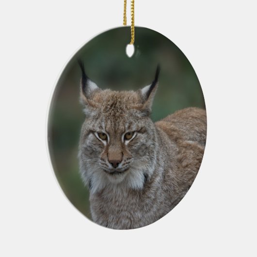 Décoration En Céramique Lynx Vous Regarde (Droite)