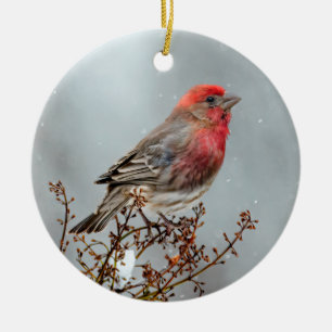 Décoration En Céramique Maison Finch en Neige - Photo originale
