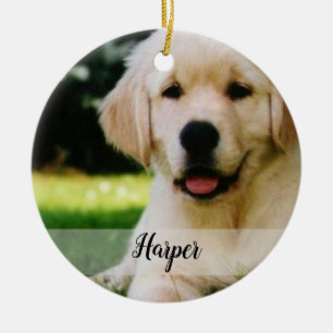 Décoration En Céramique Make Your Own Pet Ornament