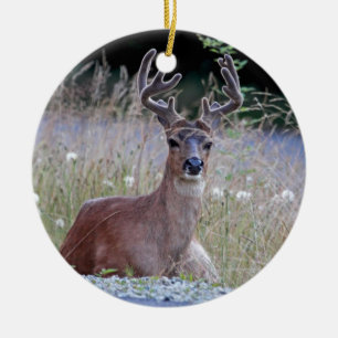 Décoration En Céramique Mâle de cerfs communs se couchant