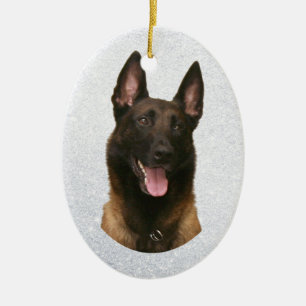 Décoration En Céramique malinois belge