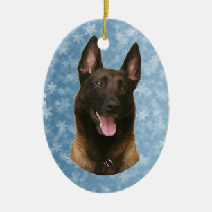 Décoration En Céramique malinois belge