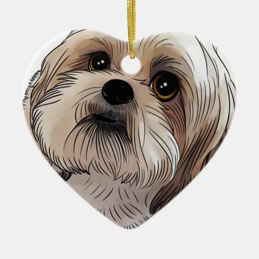 Décoration En Céramique Malshi CMA-shi (Devant)