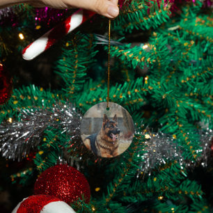 Décoration En Céramique Mémoire personnalisée de chat chien photo personna