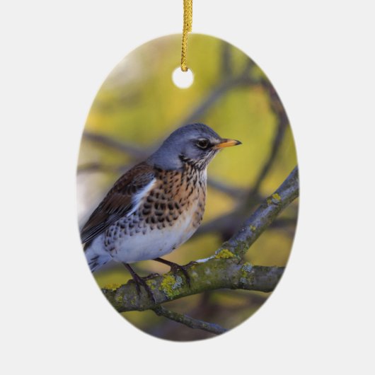 Décoration En Céramique Merle de genièvre (Devant)