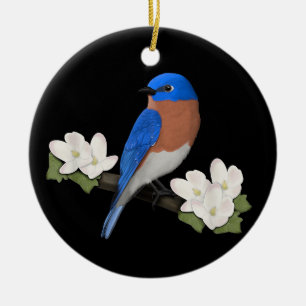 Décoration En Céramique Merlebleu de l'Est Ornithophile Observateur d'oise