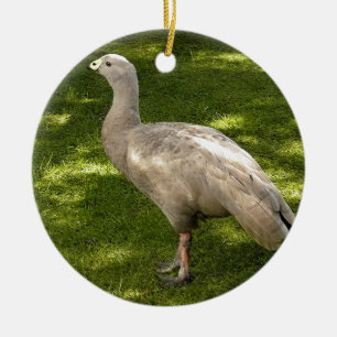 Décoration En Céramique Miscellaneous - Cape Barren Goose  Shadows & Light