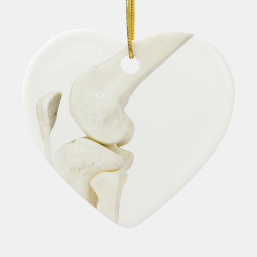 Décoration En Céramique Modèle d'articulation de genou de jambe humaine (Devant)