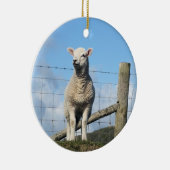 DÉCORATION EN CÉRAMIQUE MOQUETTE (Droite)