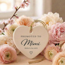 Mother’s Day Pregnancy Reveal Gift for Mimi