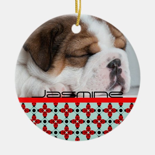 Décoration En Céramique Motif Ladybug (Devant)