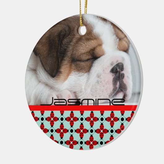 Décoration En Céramique Motif Ladybug (Gauche)