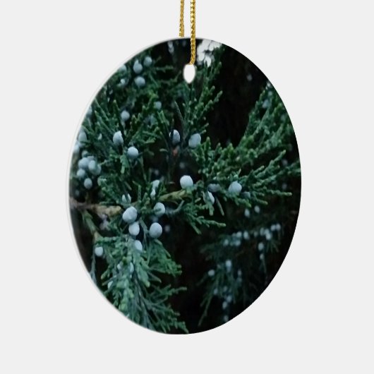 Décoration En Céramique Nature Ripening Juniper Berries (Droite)