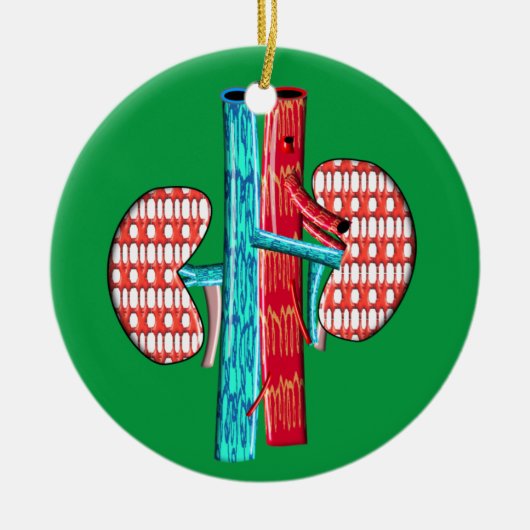 Décoration En Céramique Néphrologie Artsy Conception de rein (Devant)