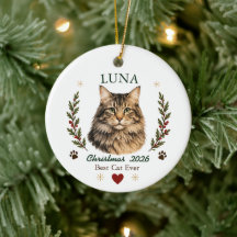 Noël de chat Maine Coon personnalisé