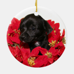 Décoration En Céramique Noël de chiot de chiwawa