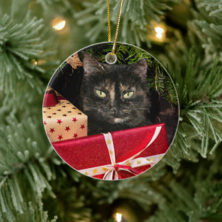 Décoration En Céramique Noël du chat Toristeshell