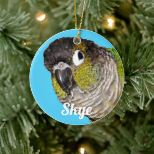 Décoration En Céramique Nom de photo d'oiseau de compagnie personnalisé