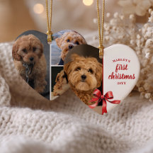 Notre Premier Noël avec Notre Chiots 4 Photo Ruban