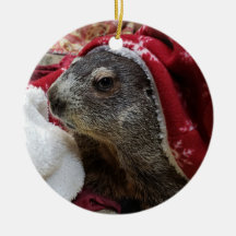 NOUVEAUTÉ !  Marmotte de terre Porte de Noël Ornem
