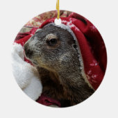 Décoration En Céramique NOUVEAUTÉ !  Marmotte de terre Porte de Noël Ornem (Dos)