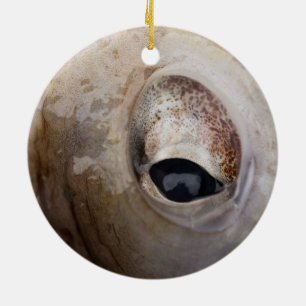 Décoration En Céramique Œil de Pieuvre