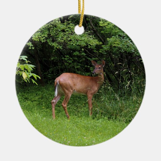 Décoration En Céramique Oh cerfs communs ! (Devant)