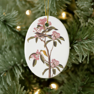 Décoration En Céramique Oiseau de roitelet de Kinglet d'Audubon Cuvier sur