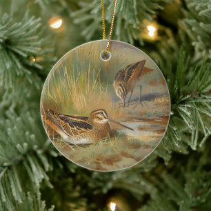 Décoration En Céramique Oiseaux vintages illustrés, Oiseaux