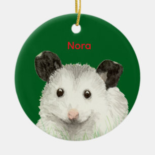 Décoration En Céramique Opossum