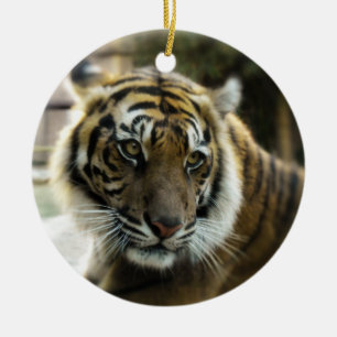Décoration En Céramique Orange à rayures noires Bengale photo tigre