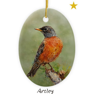 Décoration En Céramique Orange American Robin Peinture d'oiseaux Année Noë