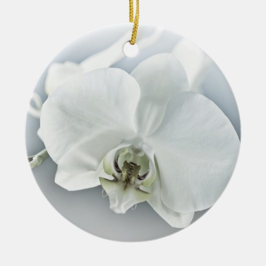Décoration En Céramique Orchidée blanche Phalaenopsis (Devant)