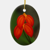 Décoration En Céramique Orchidée de Masdevallia ignea (Devant)