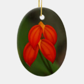 Décoration En Céramique Orchidée de Masdevallia ignea (Dos)