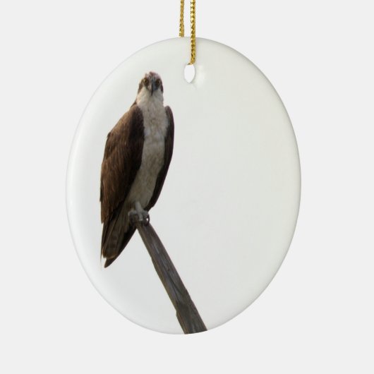 Décoration En Céramique Osprey Bird Ornament (Droite)