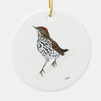 Décoration En Céramique Ovenbird