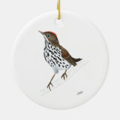 Décoration En Céramique Ovenbird (Dos)