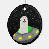 Décoration En Céramique OVNI Alien des Pyrénées (Gauche)