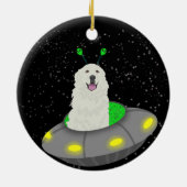 Décoration En Céramique OVNI Alien des Pyrénées (Dos)