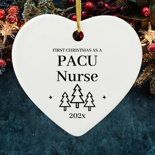 Décoration En Céramique Pacu Nurse Premier Noël